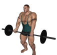 Shrug - Barbell Mixed Grip